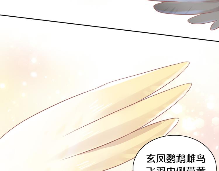 猫爪之下韩漫全集-第170话 皮卡和小智无删减无遮挡章节图片 