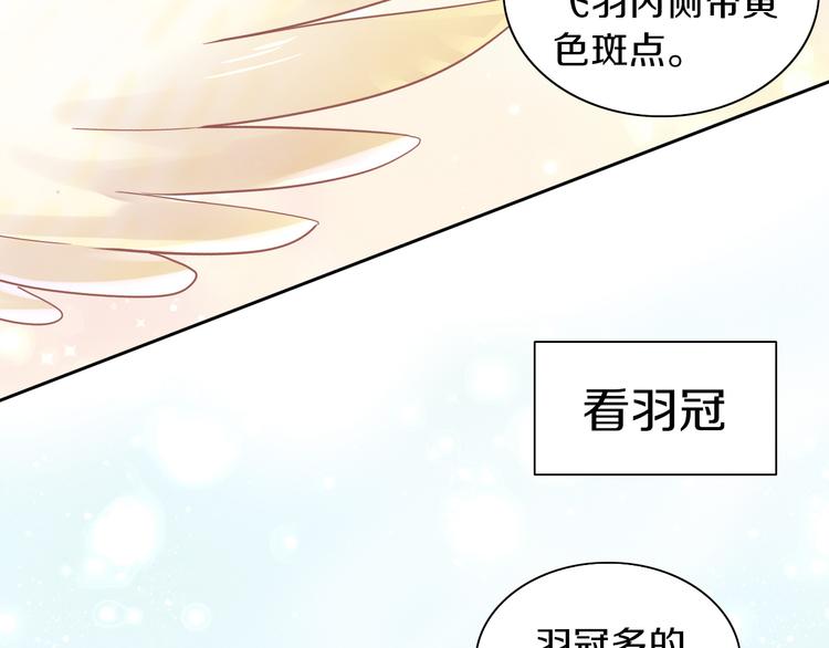 猫爪之下韩漫全集-第170话 皮卡和小智无删减无遮挡章节图片 