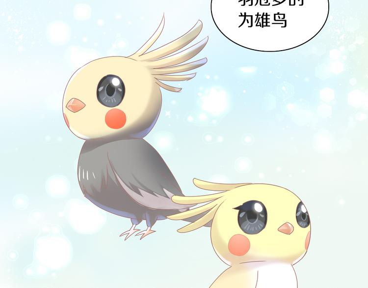 猫爪之下韩漫全集-第170话 皮卡和小智无删减无遮挡章节图片 