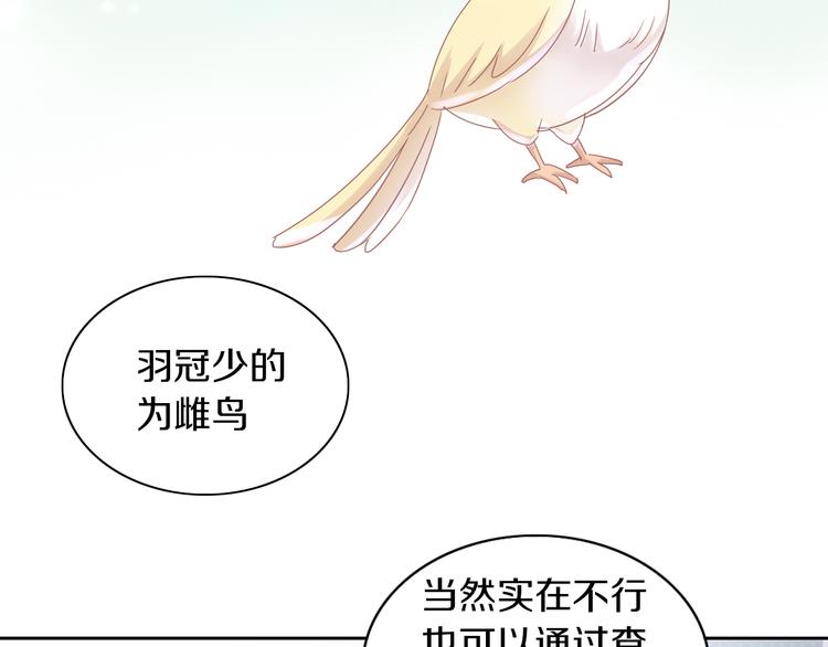 猫爪之下韩漫全集-第170话 皮卡和小智无删减无遮挡章节图片 