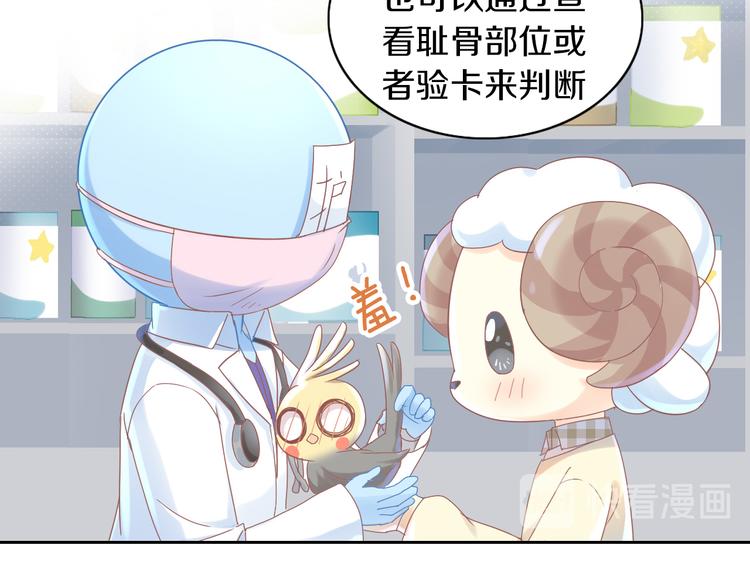猫爪之下韩漫全集-第170话 皮卡和小智无删减无遮挡章节图片 