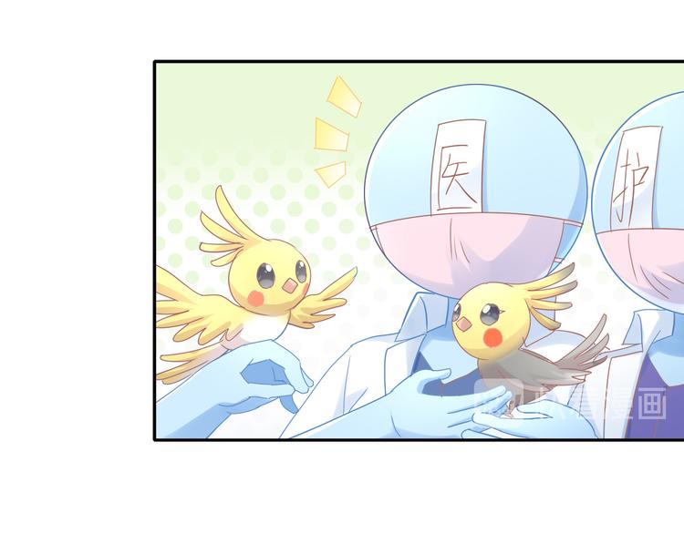 猫爪之下韩漫全集-第170话 皮卡和小智无删减无遮挡章节图片 