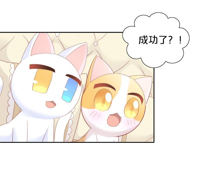 猫爪之下韩漫全集-第170话 皮卡和小智无删减无遮挡章节图片 