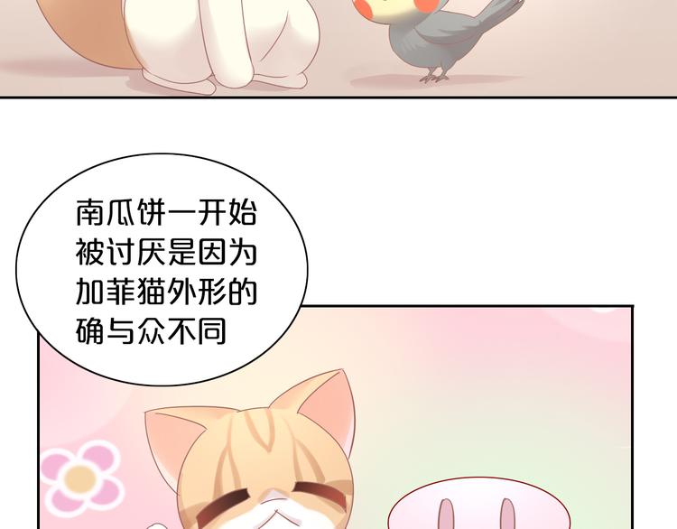 猫爪之下韩漫全集-第170话 皮卡和小智无删减无遮挡章节图片 