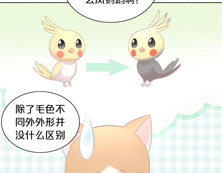 猫爪之下韩漫全集-第170话 皮卡和小智无删减无遮挡章节图片 