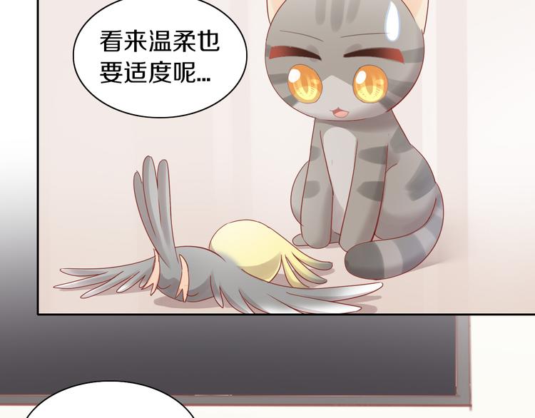 猫爪之下韩漫全集-第171话 气质大改造无删减无遮挡章节图片 