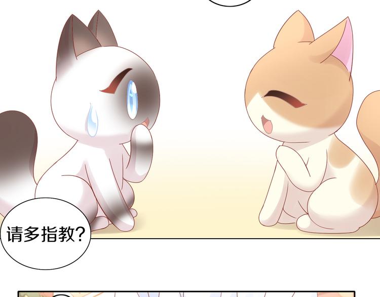 猫爪之下韩漫全集-第173话 全员外宿无删减无遮挡章节图片 