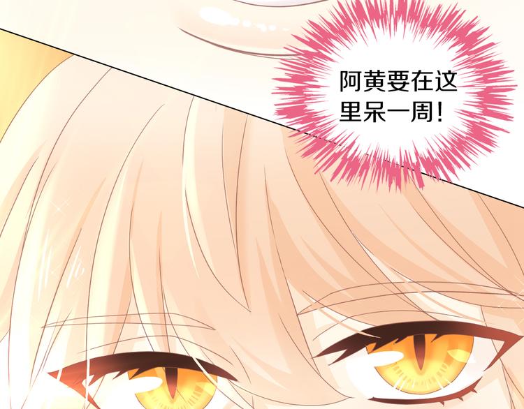 猫爪之下韩漫全集-第173话 全员外宿无删减无遮挡章节图片 