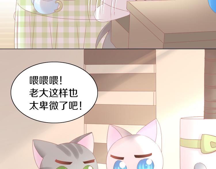 猫爪之下韩漫全集-第173话 全员外宿无删减无遮挡章节图片 