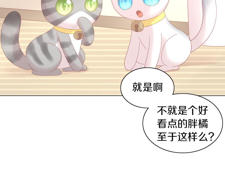猫爪之下韩漫全集-第173话 全员外宿无删减无遮挡章节图片 