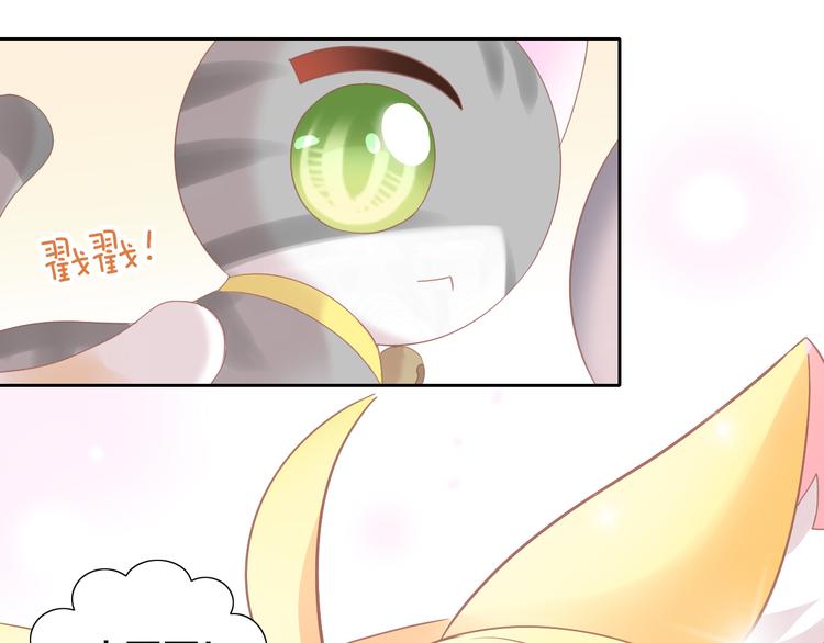 猫爪之下韩漫全集-第173话 全员外宿无删减无遮挡章节图片 