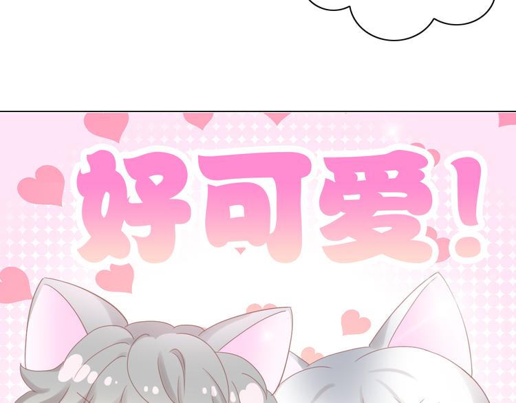 猫爪之下韩漫全集-第173话 全员外宿无删减无遮挡章节图片 