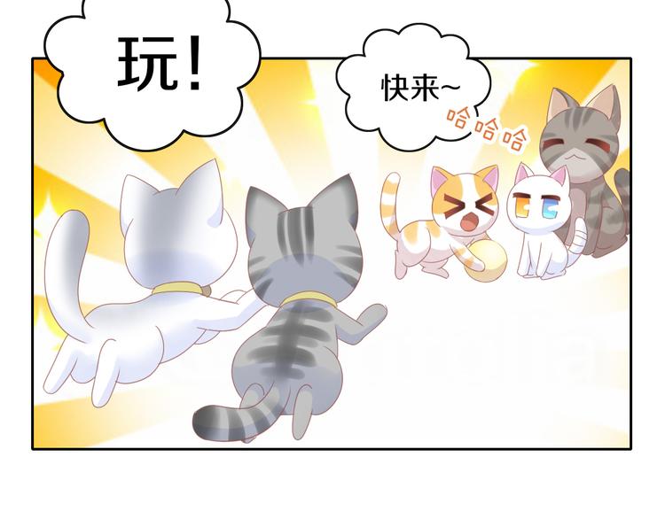 猫爪之下韩漫全集-第173话 全员外宿无删减无遮挡章节图片 