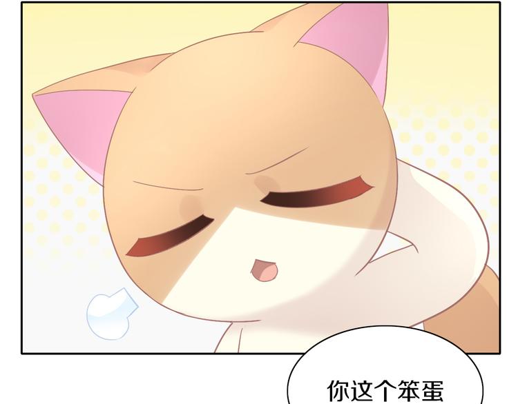 猫爪之下韩漫全集-第173话 全员外宿无删减无遮挡章节图片 