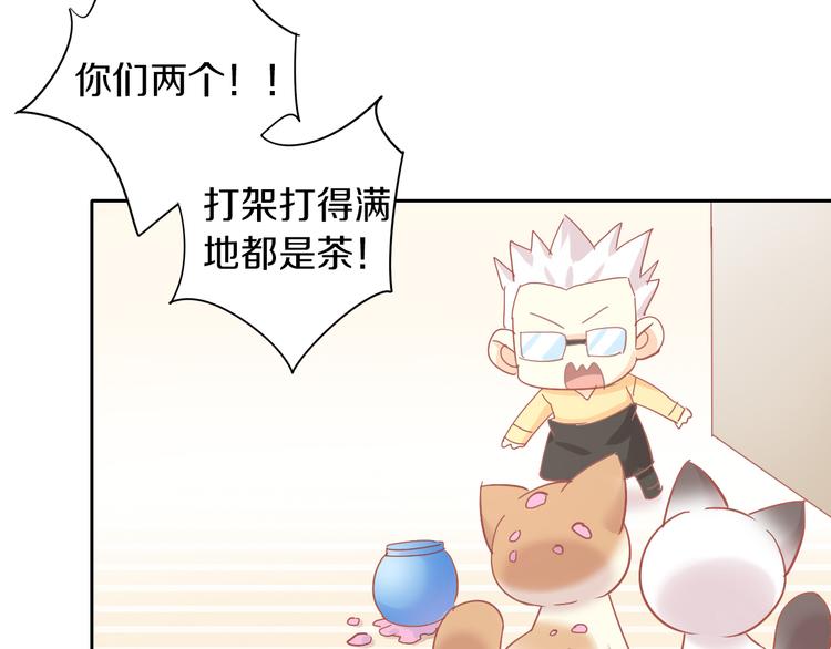 猫爪之下韩漫全集-第173话 全员外宿无删减无遮挡章节图片 