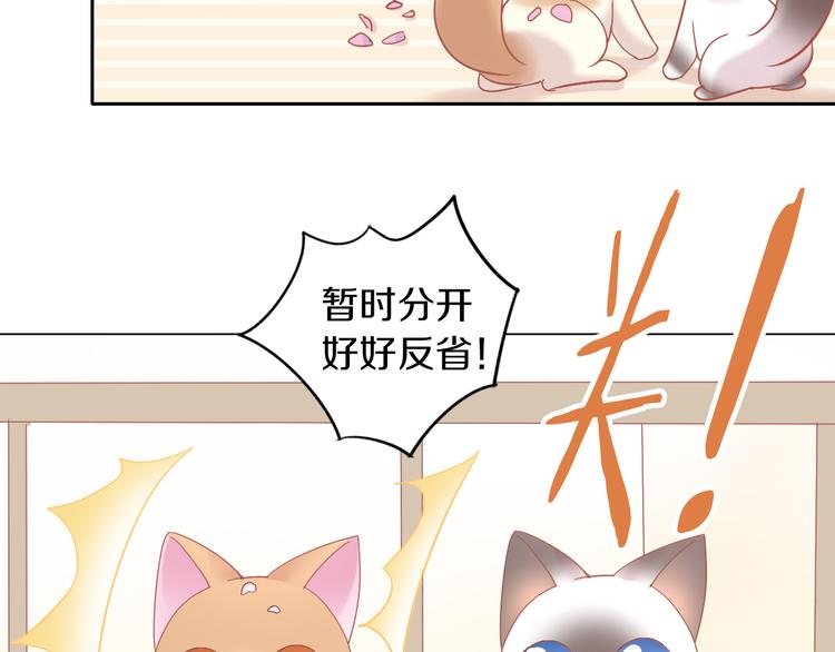 猫爪之下韩漫全集-第173话 全员外宿无删减无遮挡章节图片 