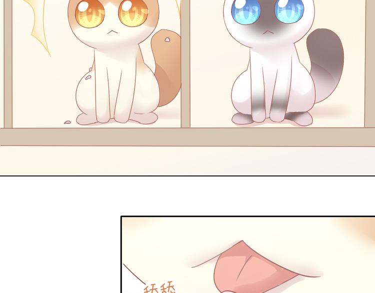 猫爪之下韩漫全集-第173话 全员外宿无删减无遮挡章节图片 