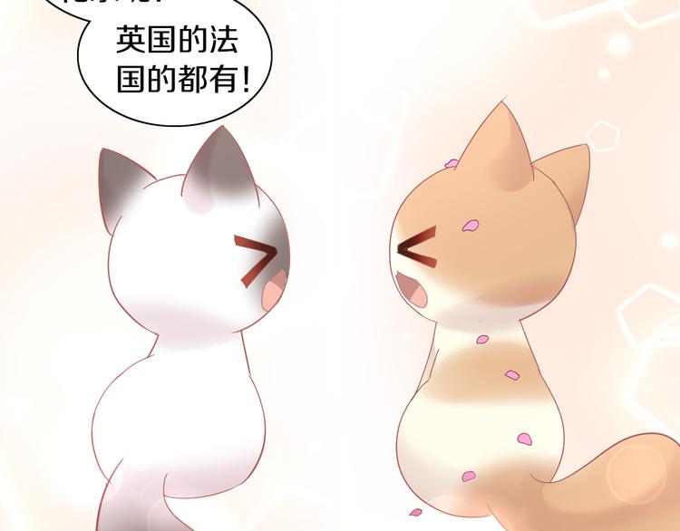 猫爪之下韩漫全集-第173话 全员外宿无删减无遮挡章节图片 