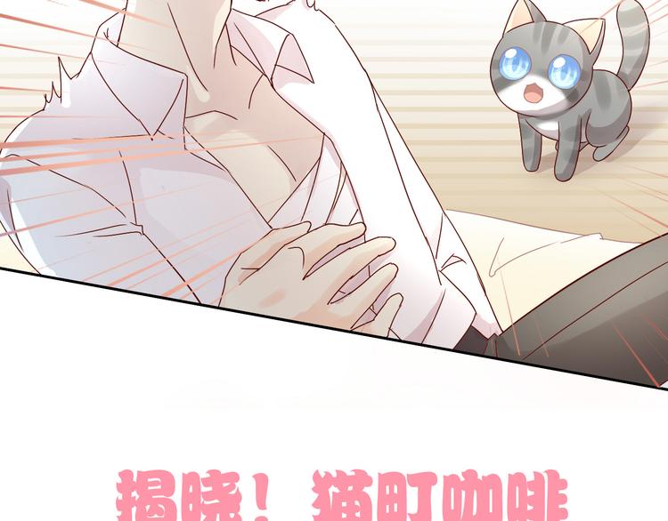 猫爪之下韩漫全集-第173话 全员外宿无删减无遮挡章节图片 