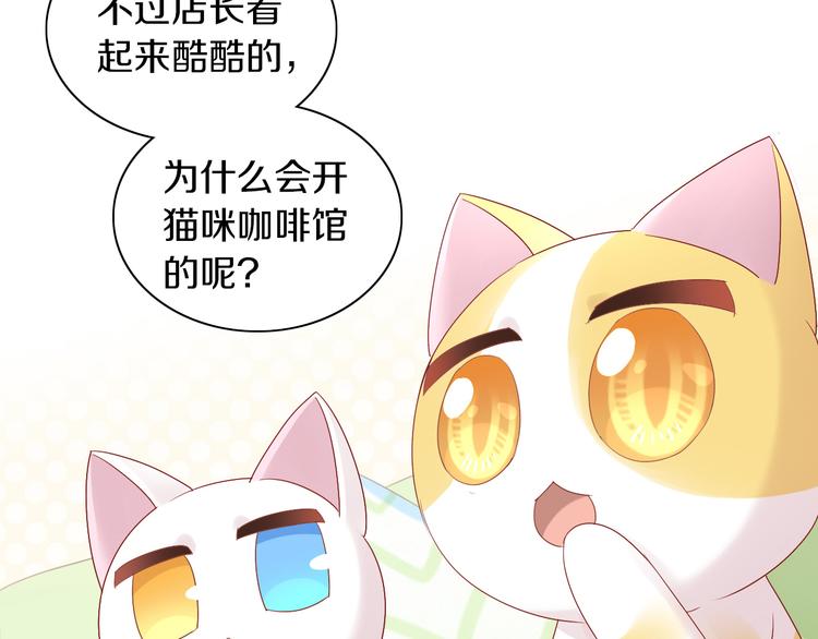 猫爪之下韩漫全集-第174话 店长的坚持无删减无遮挡章节图片 