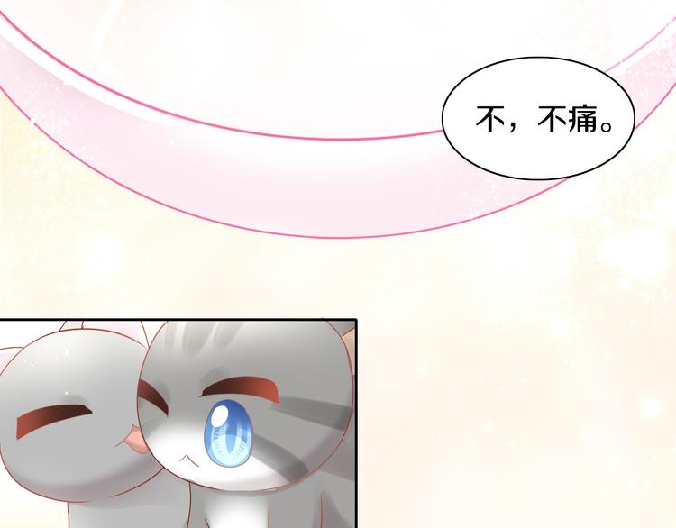 猫爪之下韩漫全集-第174话 店长的坚持无删减无遮挡章节图片 