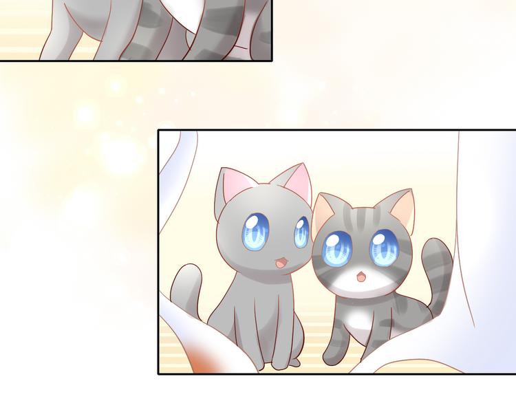 猫爪之下韩漫全集-第174话 店长的坚持无删减无遮挡章节图片 
