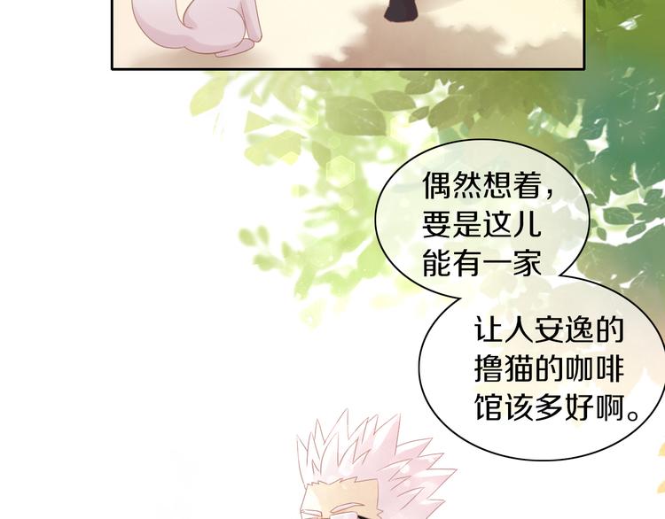 猫爪之下韩漫全集-第174话 店长的坚持无删减无遮挡章节图片 