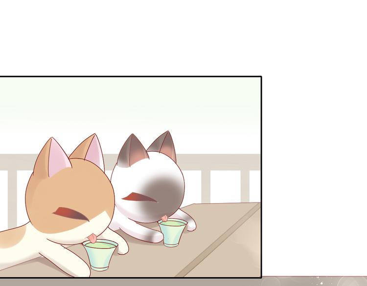 猫爪之下韩漫全集-第175话 茶老板的营销学无删减无遮挡章节图片 