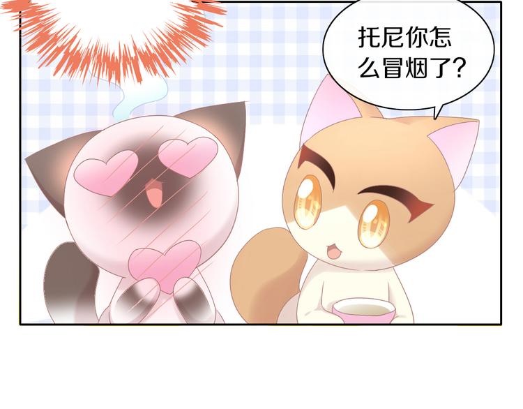 猫爪之下韩漫全集-第175话 茶老板的营销学无删减无遮挡章节图片 