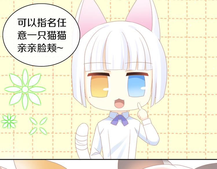 猫爪之下韩漫全集-第176话 齐心协力无删减无遮挡章节图片 