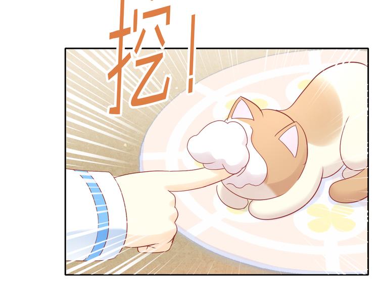 猫爪之下韩漫全集-第176话 齐心协力无删减无遮挡章节图片 