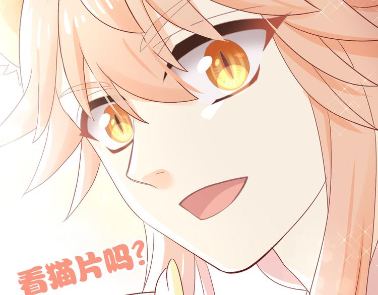 猫爪之下韩漫全集-第178话 爆火视频无删减无遮挡章节图片 