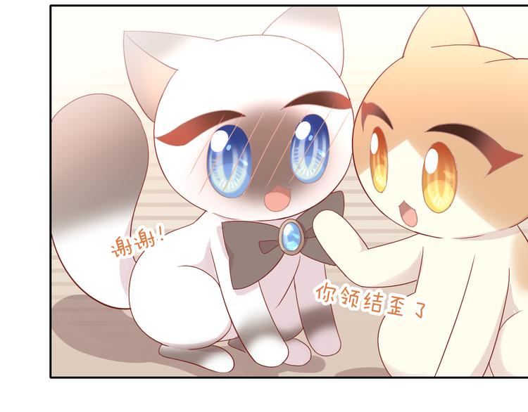 猫爪之下韩漫全集-第178话 爆火视频无删减无遮挡章节图片 