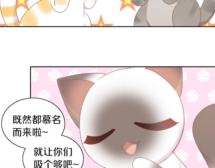 猫爪之下韩漫全集-第178话 爆火视频无删减无遮挡章节图片 