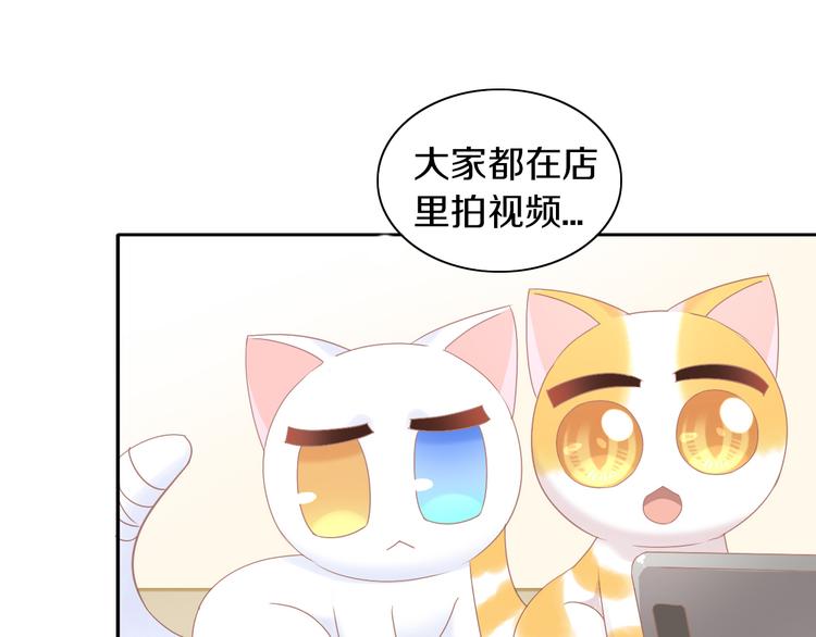 猫爪之下韩漫全集-第178话 爆火视频无删减无遮挡章节图片 