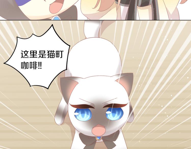 猫爪之下韩漫全集-第178话 爆火视频无删减无遮挡章节图片 
