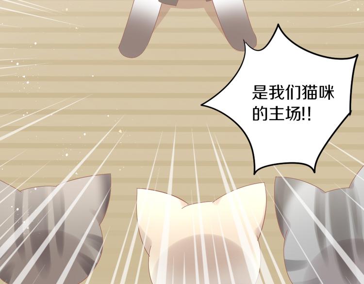 猫爪之下韩漫全集-第178话 爆火视频无删减无遮挡章节图片 