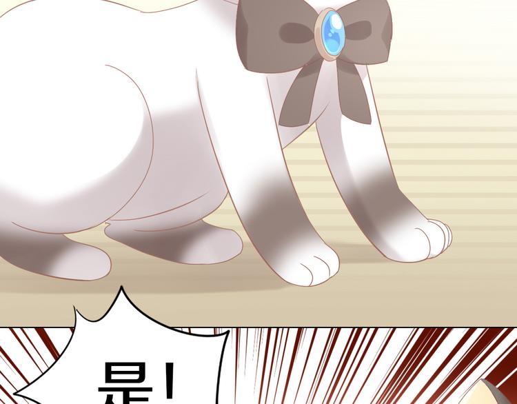 猫爪之下韩漫全集-第178话 爆火视频无删减无遮挡章节图片 