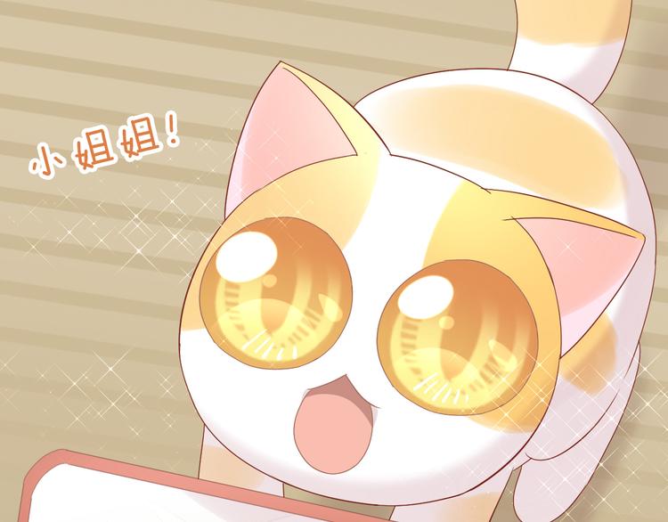 猫爪之下韩漫全集-第178话 爆火视频无删减无遮挡章节图片 