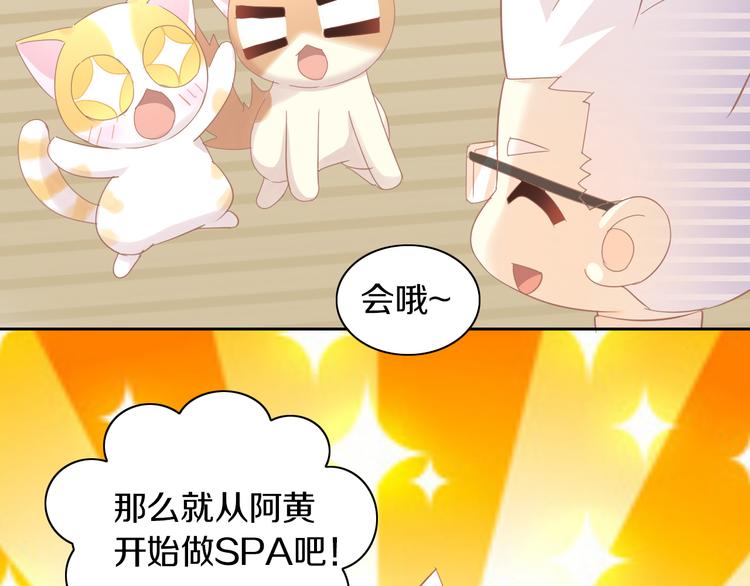 猫爪之下韩漫全集-第179话 SPA无删减无遮挡章节图片 