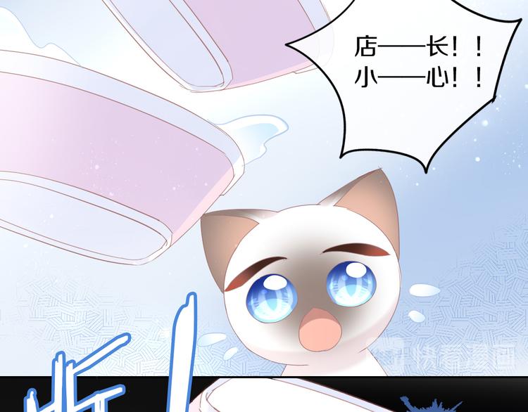 猫爪之下韩漫全集-第179话 SPA无删减无遮挡章节图片 