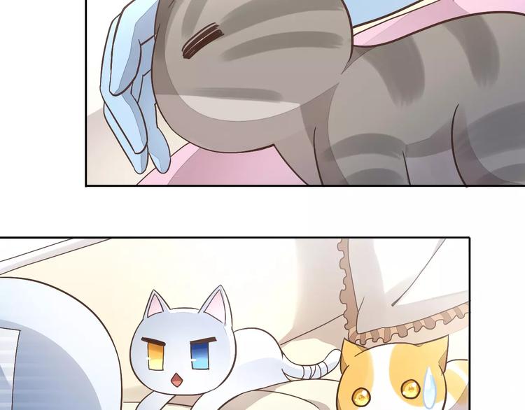 猫爪之下韩漫全集-第19话  被照顾的感觉无删减无遮挡章节图片 