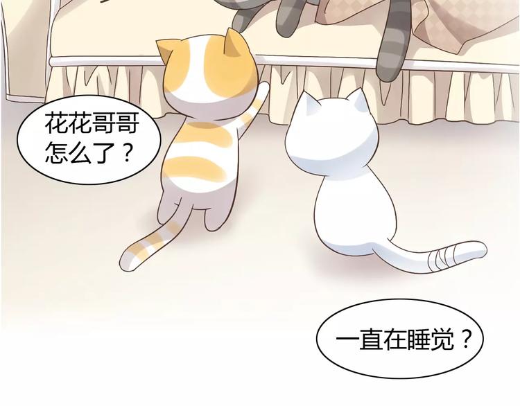 猫爪之下韩漫全集-第19话  被照顾的感觉无删减无遮挡章节图片 