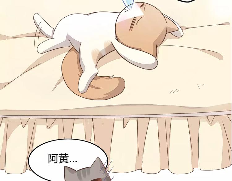 猫爪之下韩漫全集-第19话  被照顾的感觉无删减无遮挡章节图片 