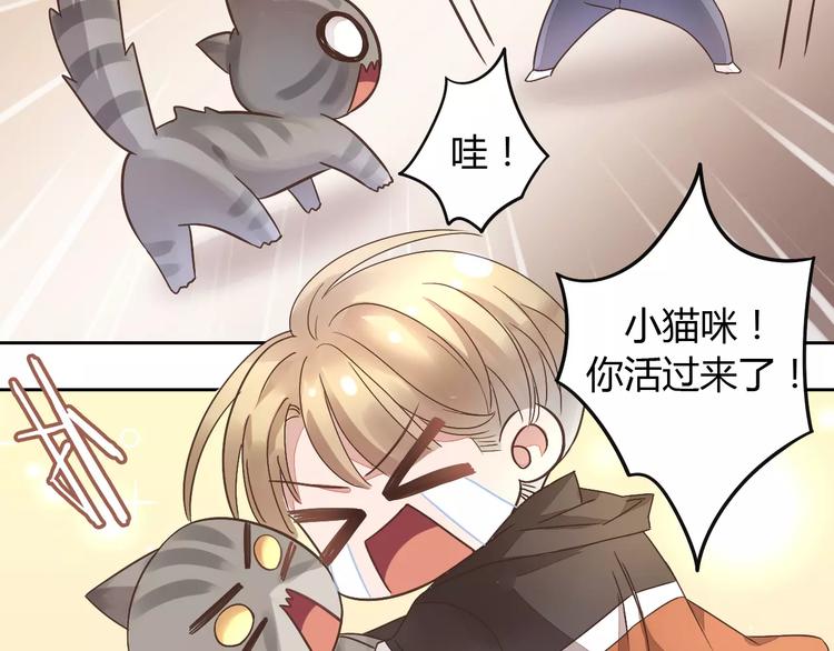 猫爪之下韩漫全集-第19话  被照顾的感觉无删减无遮挡章节图片 