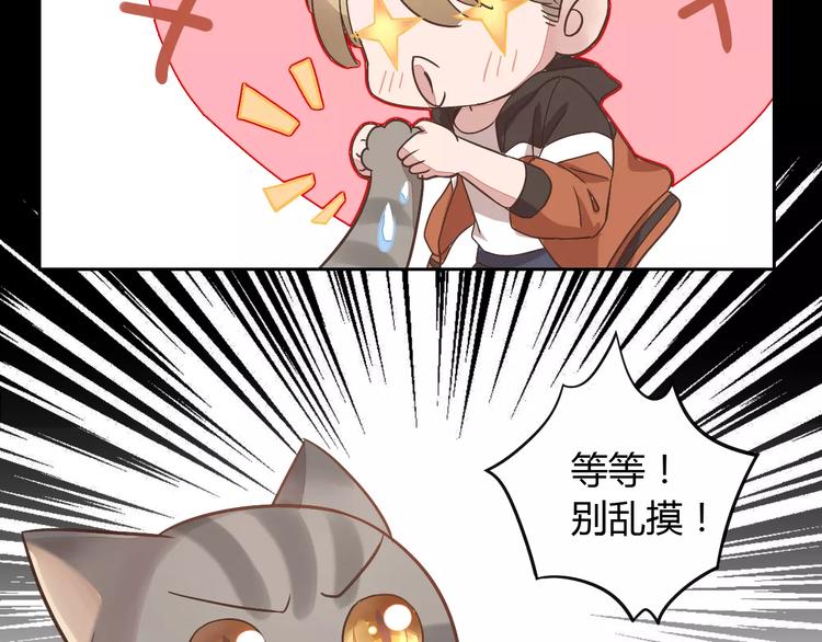 猫爪之下韩漫全集-第19话  被照顾的感觉无删减无遮挡章节图片 