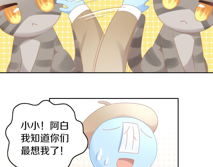 猫爪之下韩漫全集-第180话 阿仆归来无删减无遮挡章节图片 