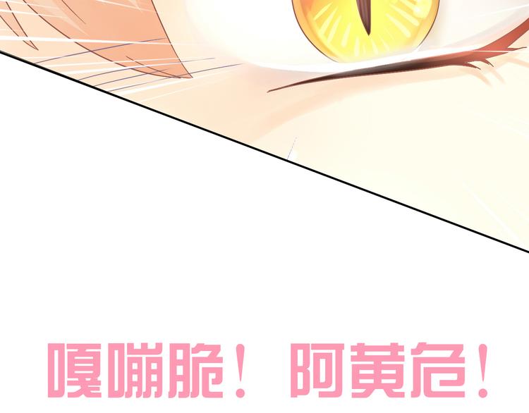 猫爪之下韩漫全集-第180话 阿仆归来无删减无遮挡章节图片 
