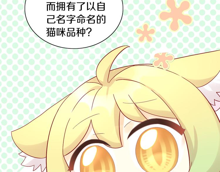 猫爪之下韩漫全集-第181回  拿破仑无删减无遮挡章节图片 