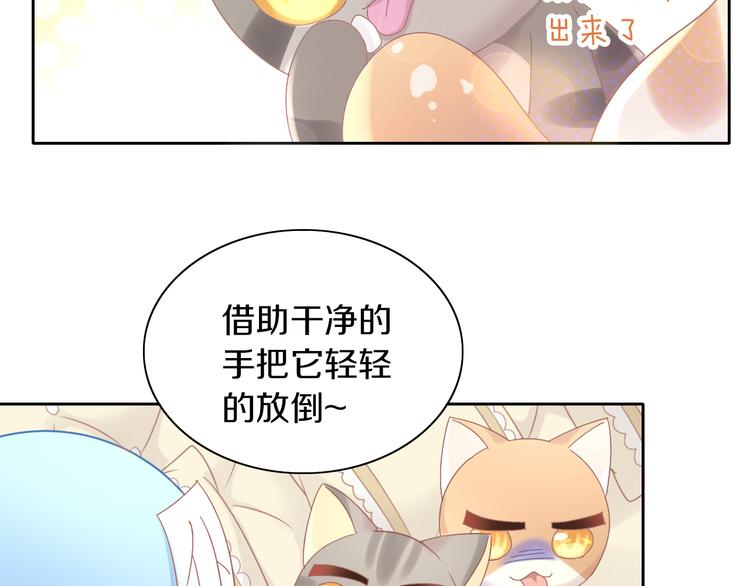 猫爪之下韩漫全集-第181回  拿破仑无删减无遮挡章节图片 